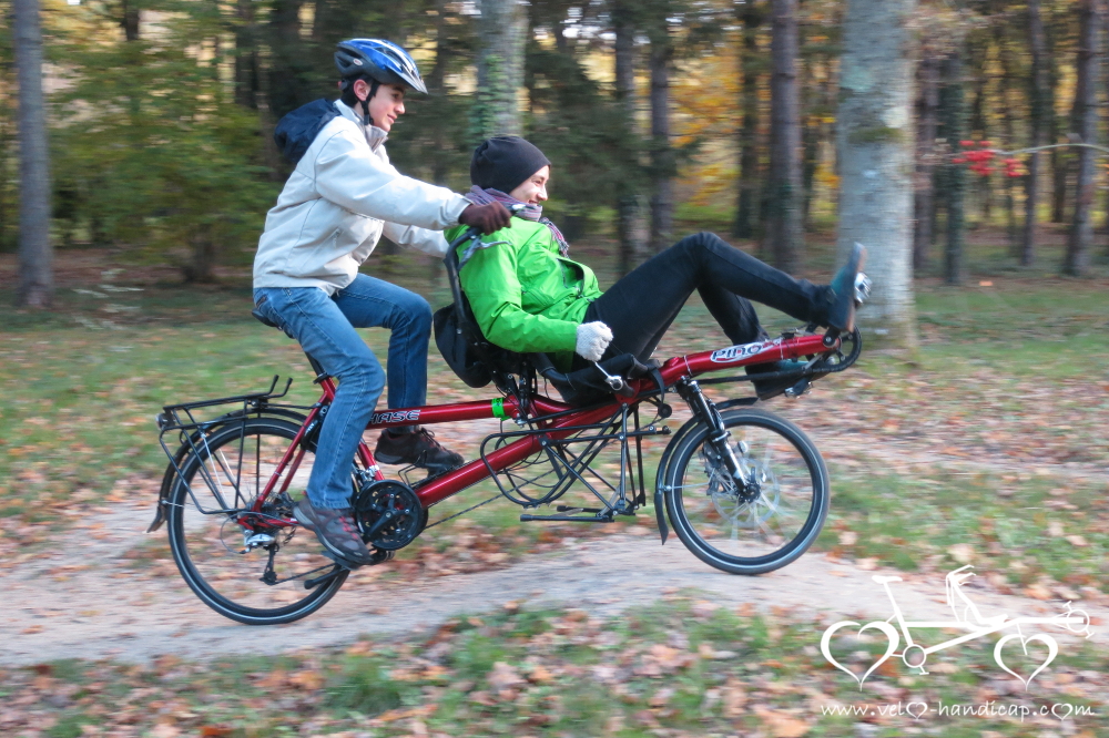 Un tandem Pino Allround Hase dans les bois