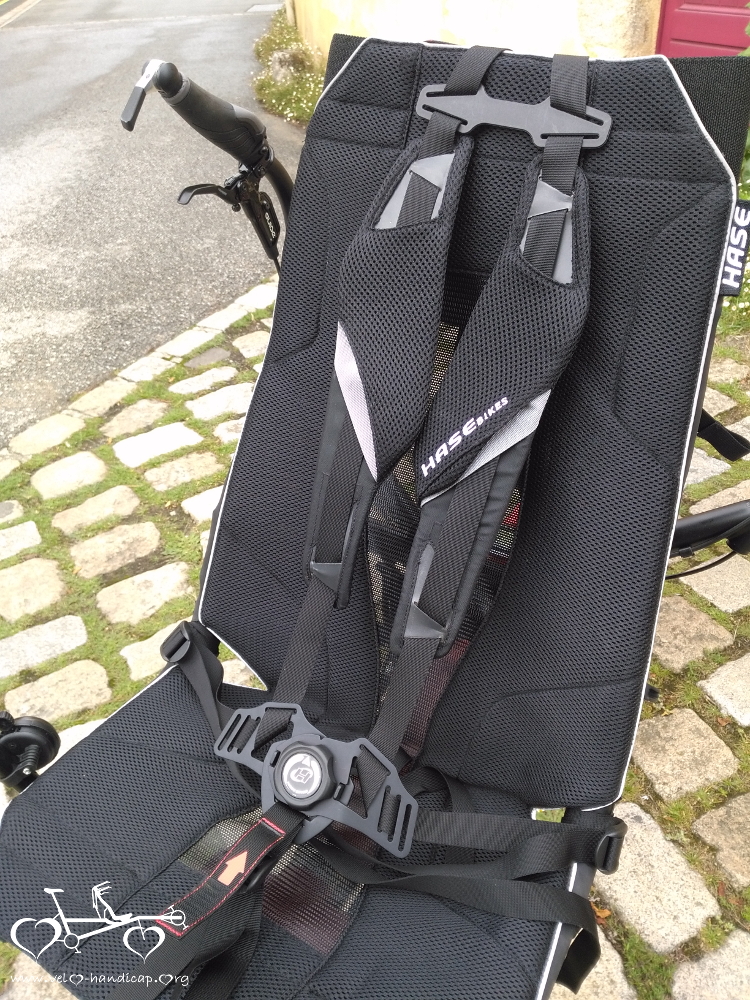 Ceinture réglable Bébé 5 points pour siège vélo et poussette