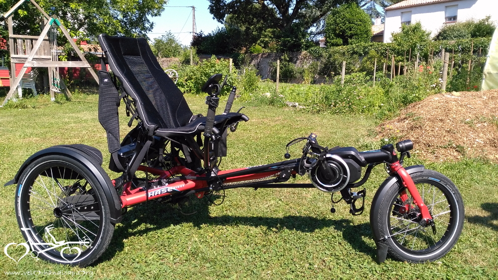 Un tandem Pino Allround Hase dans les bois